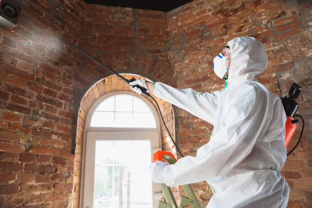 Best Commercial Mold Inspection  in Odessa, MO